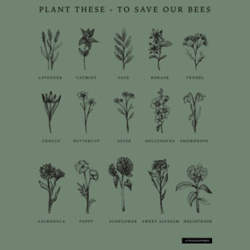 Flowers for Bees - Womens Premium Crew Design