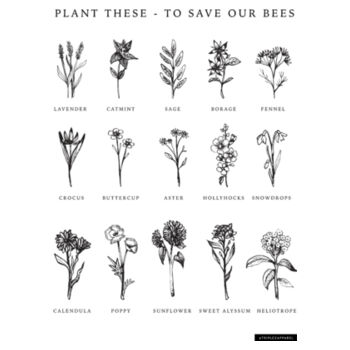 Flowers for Bees   - Unisex Organic Tee Design