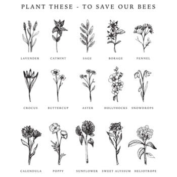 Flowers for Bees - AS Colour Kids Barnard Tank Design