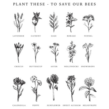 Flowers for Bees - AS Colour Organic Infant Wee Tee Design