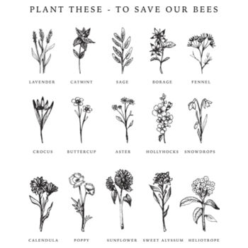 Flowers for Bees - AS Colour Organic Infant Mini-Me One-Piece Design