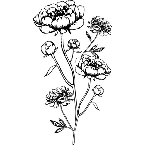 Flowers Print Thumbnail