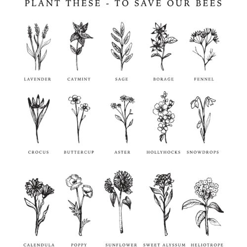 Flowers for Bees Thumbnail