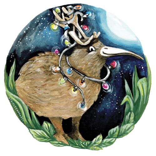 kiwi night bird Thumbnail