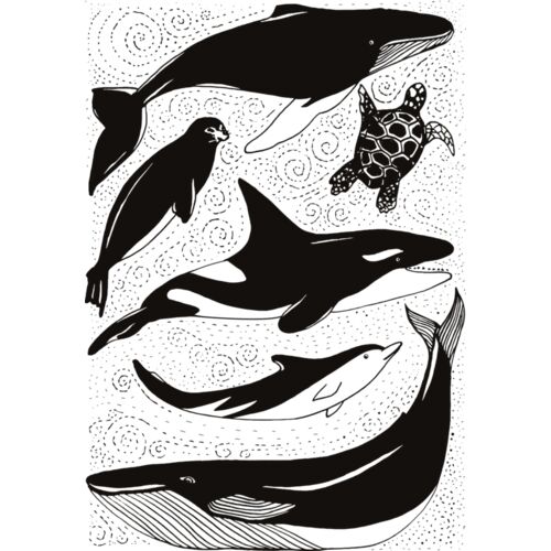 sealife NEW Thumbnail