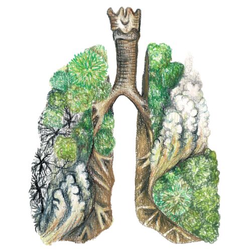 Amazon Lungs Thumbnail