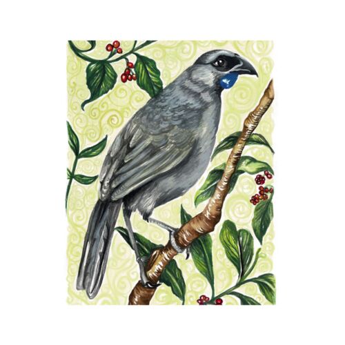 Kokako Throw Thumbnail