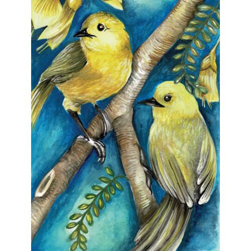 Mohua  larger Thumbnail