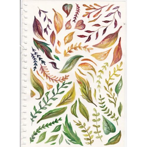 IMG 20180719 0002 Thumbnail