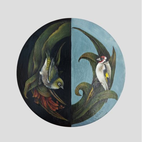 Waxeye goldfinch Thumbnail