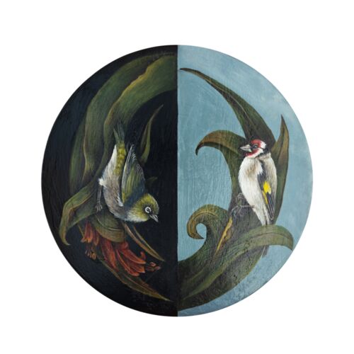 Waxeye goldfinch Thumbnail