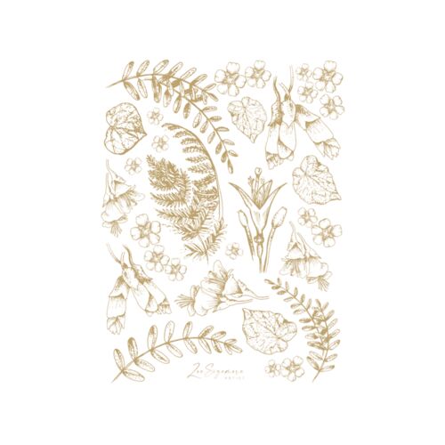 Teatowel plant natives Thumbnail